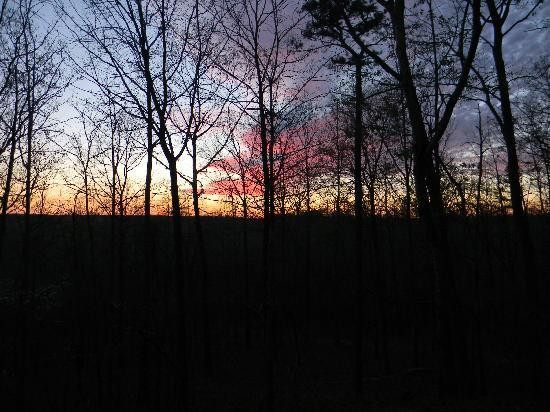 Victoria Bryant Park-Royston必去景点