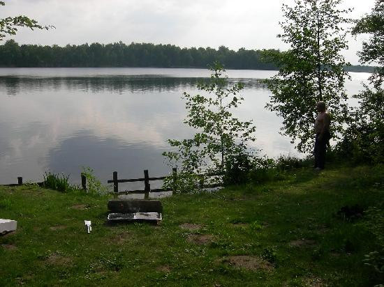 Beekse Bergen Safari Park-希尔法伦贝克必去景点