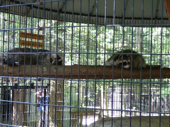 Bays Mountain Park & Planetarium-金斯波特必去景点