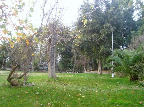 Castillo de Canena-Canena必去景点