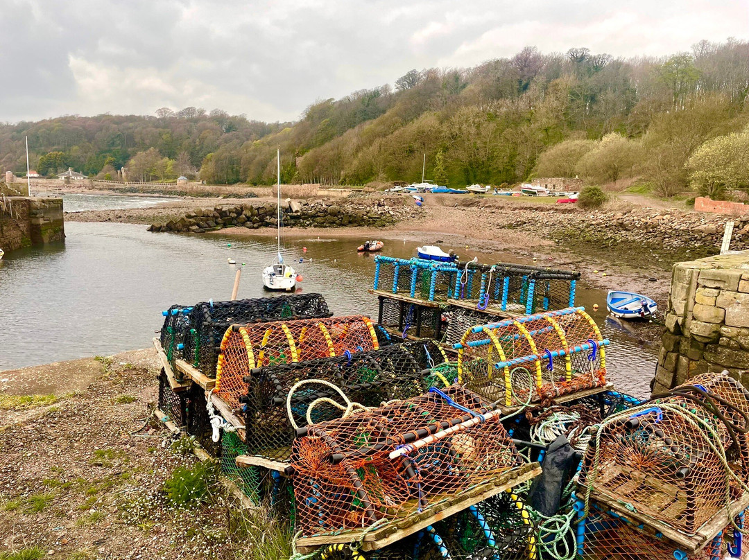 West Wemyss Harbour-West Wemyss必去景点