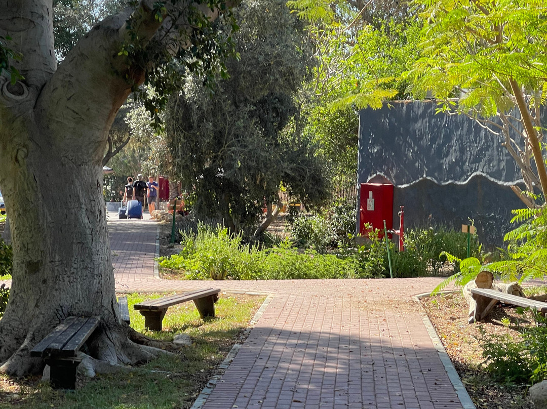 Almog Kibbutz Hotel主图