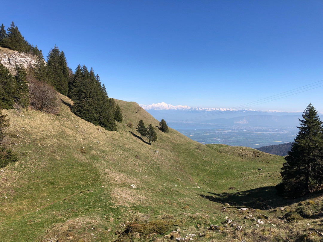 Réserve Naturelle de la Haute Chaîne du Jura-Gex必去景点