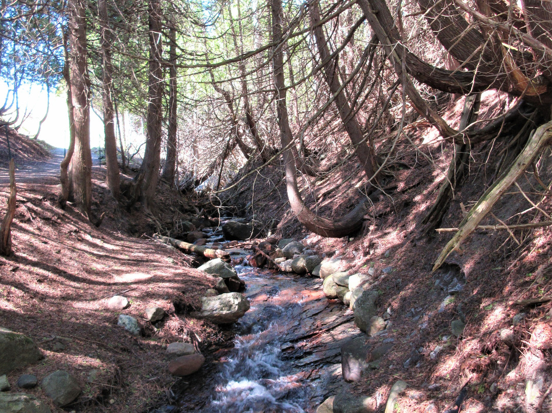 Réserve naturelle du Marais-Léon-Provancher-Neuville必去景点