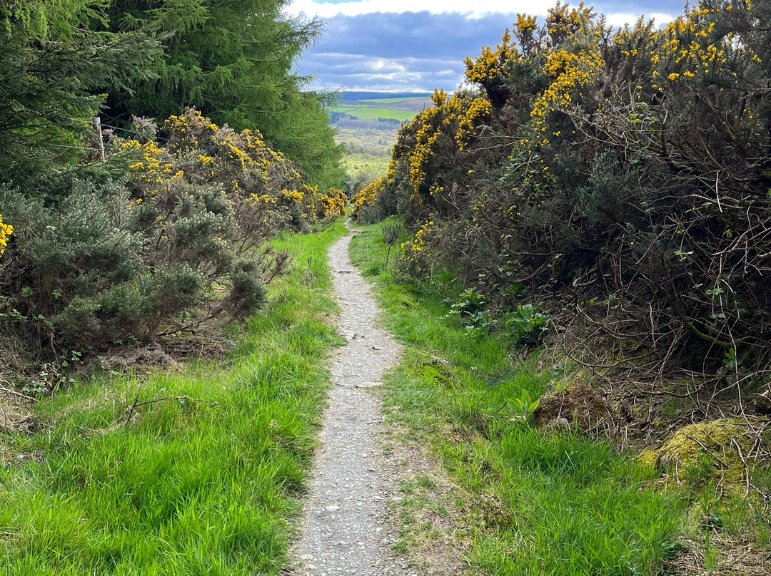 Wonderful Ireland Walking Tours景点图片