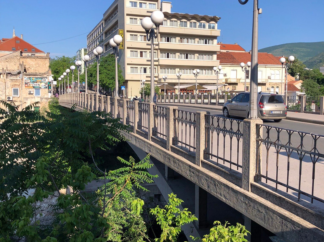Musala bridge景点图片