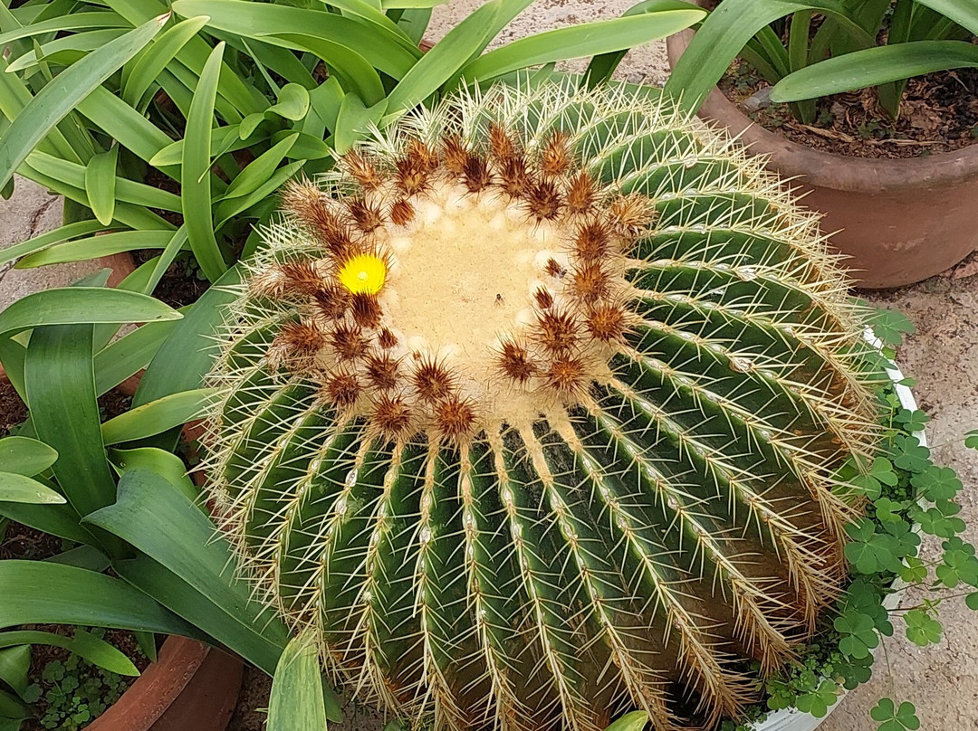 萨代拉罗莎酒店主图