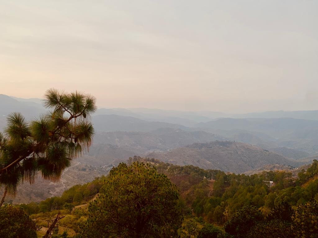 Hotel Ravine Palace主图