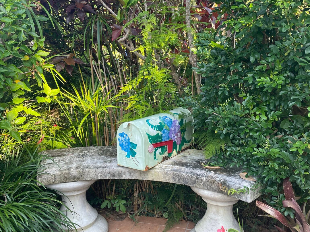 Kingston House B&B主图