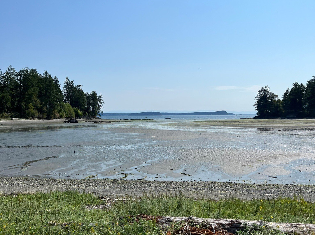 Buck Bay Shellfish Farm景点图片