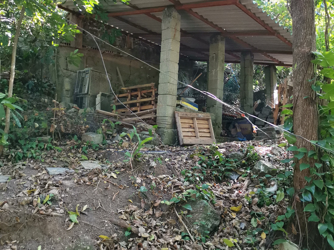 Pousada do Holandes主图