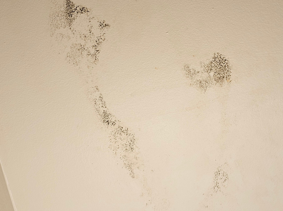 Nader's Motel & Suites主图