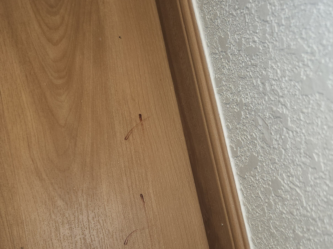 Holiday Inn Express & Suites Indianapolis W - Airport Area by IHG主图