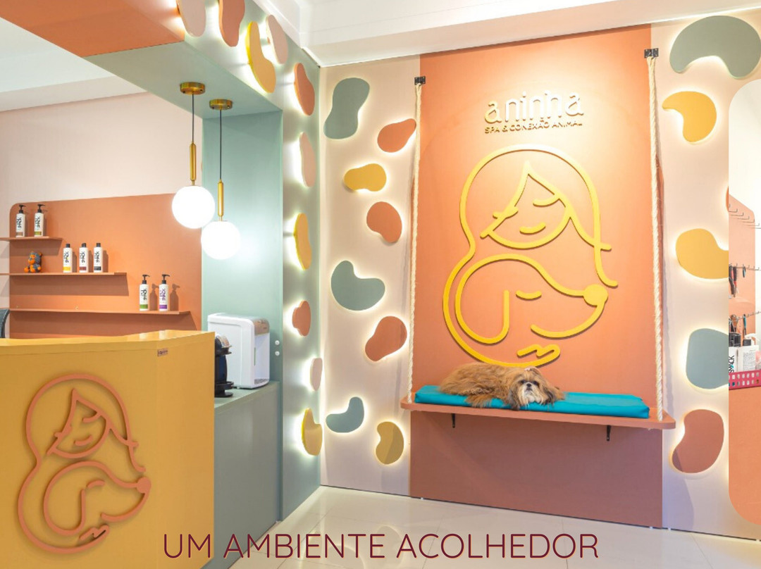 Praia Meia-Praia-Itapema必去景点