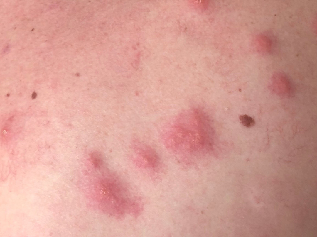 Johnny's Motel主图