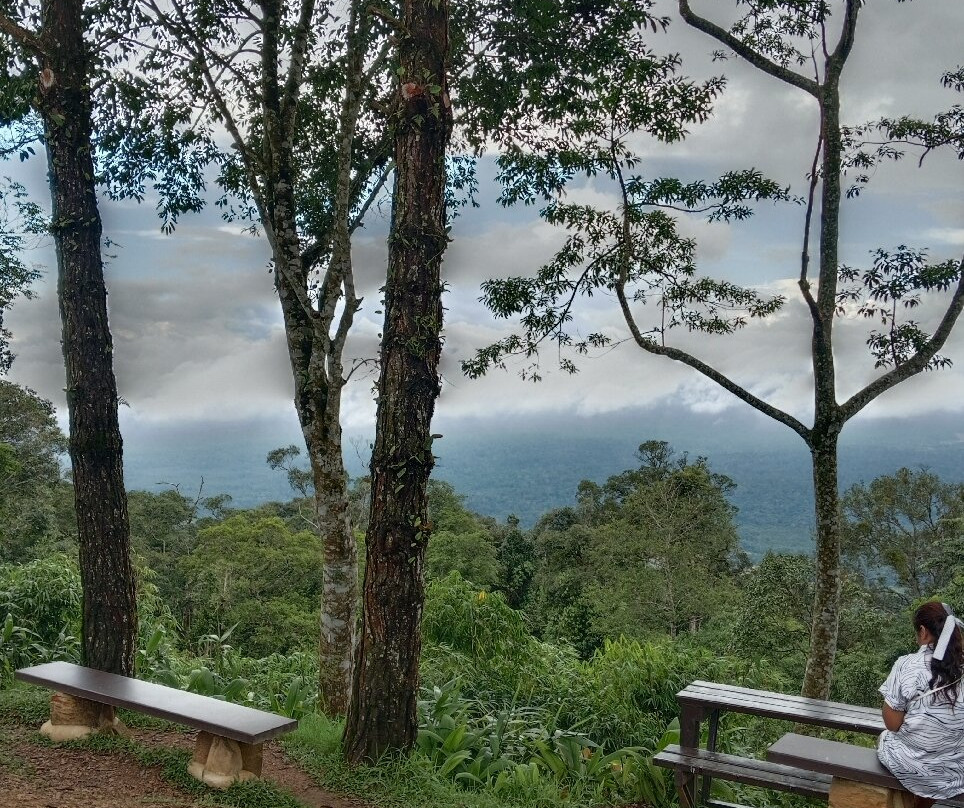 Pha Trom Chai Viewpoint景点图片
