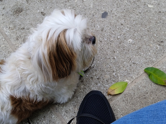 Visual Axes-科尔多瓦必去景点