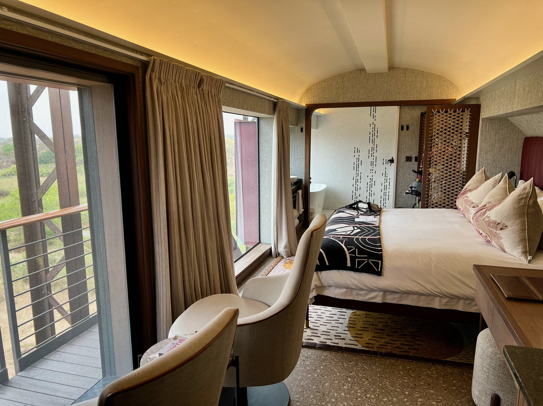 Kruger Shalati - The Train on the Bridge主图