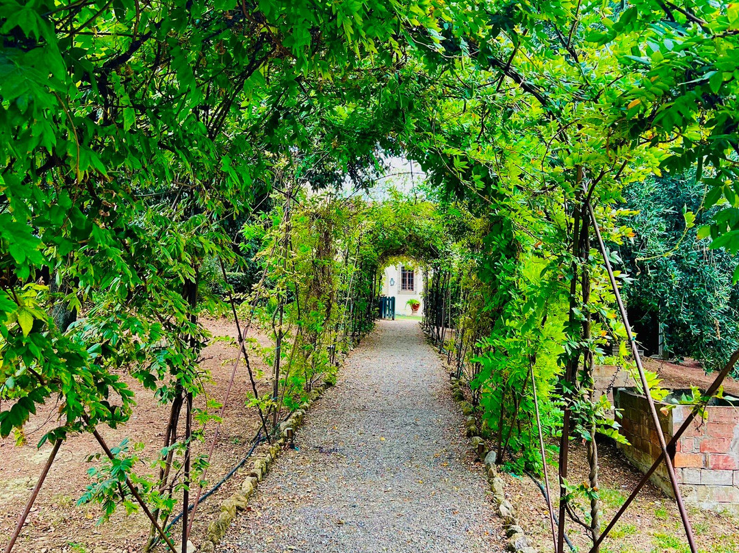 Villa Dianella Wine Resort主图