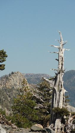 Echo Lakes Hiking Trail-太浩湖必去景点