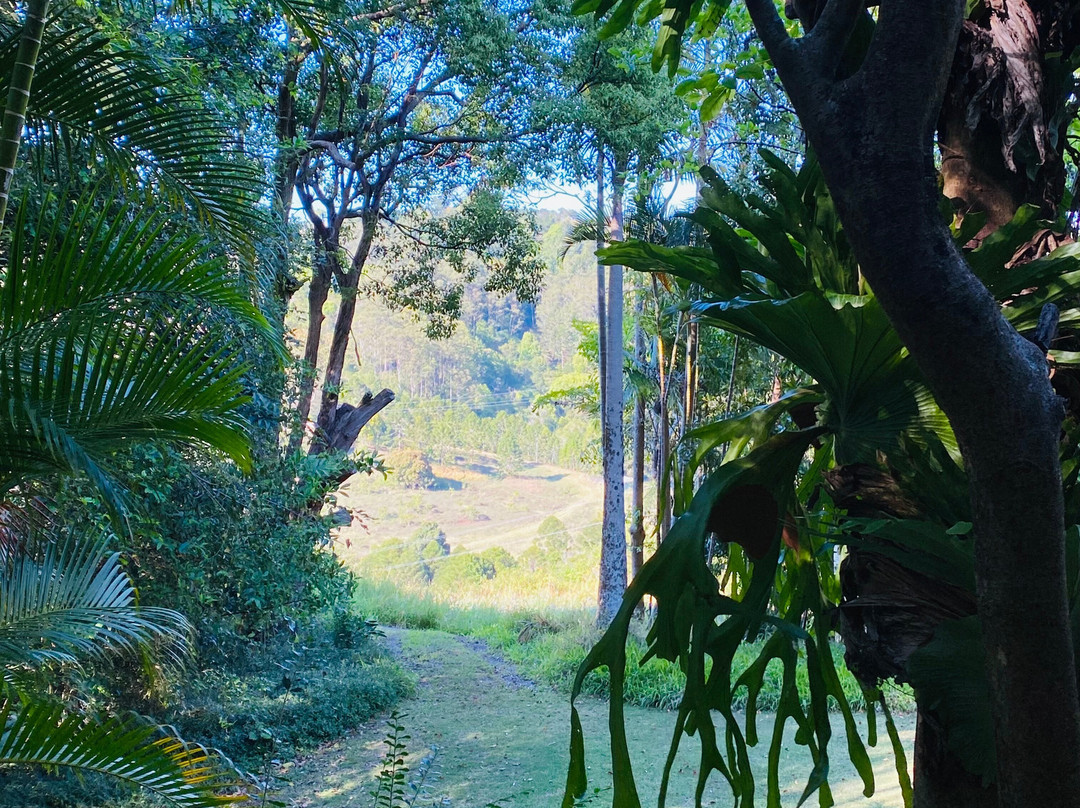 The Falls Montville主图