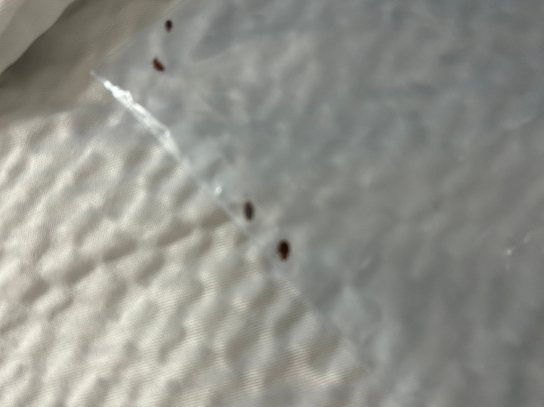 Red Roof Inn Clyde主图