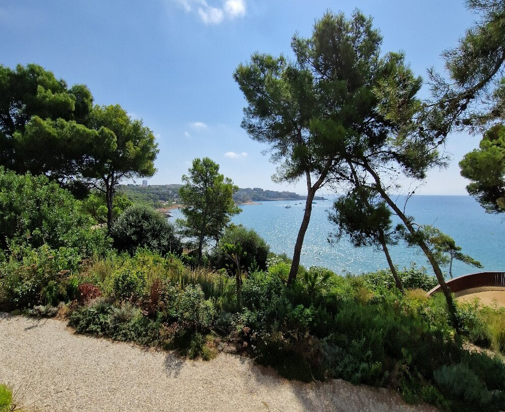 Llarga Beach景点图片