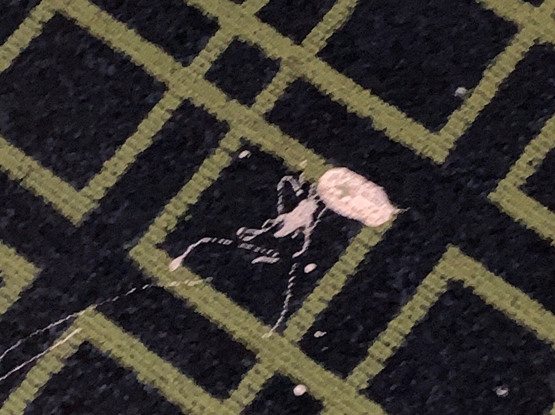 Baymont by Wyndham Greensburg主图