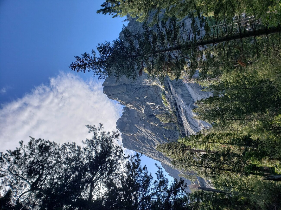 Tokopah Falls-Three Rivers必去景点