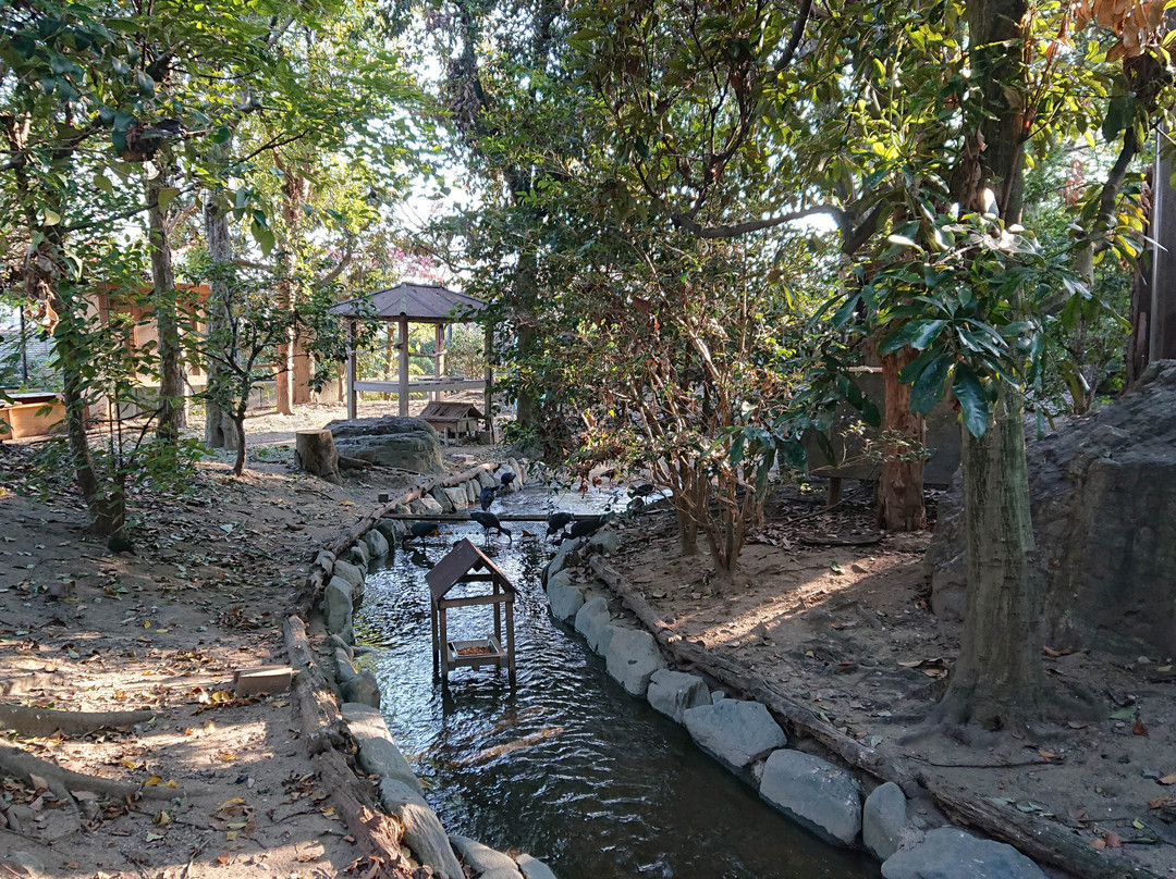 Campbelltown Forest of Wild Birds-越谷市必去景点