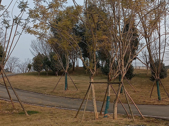 黑龙滩-仁寿县必去景点