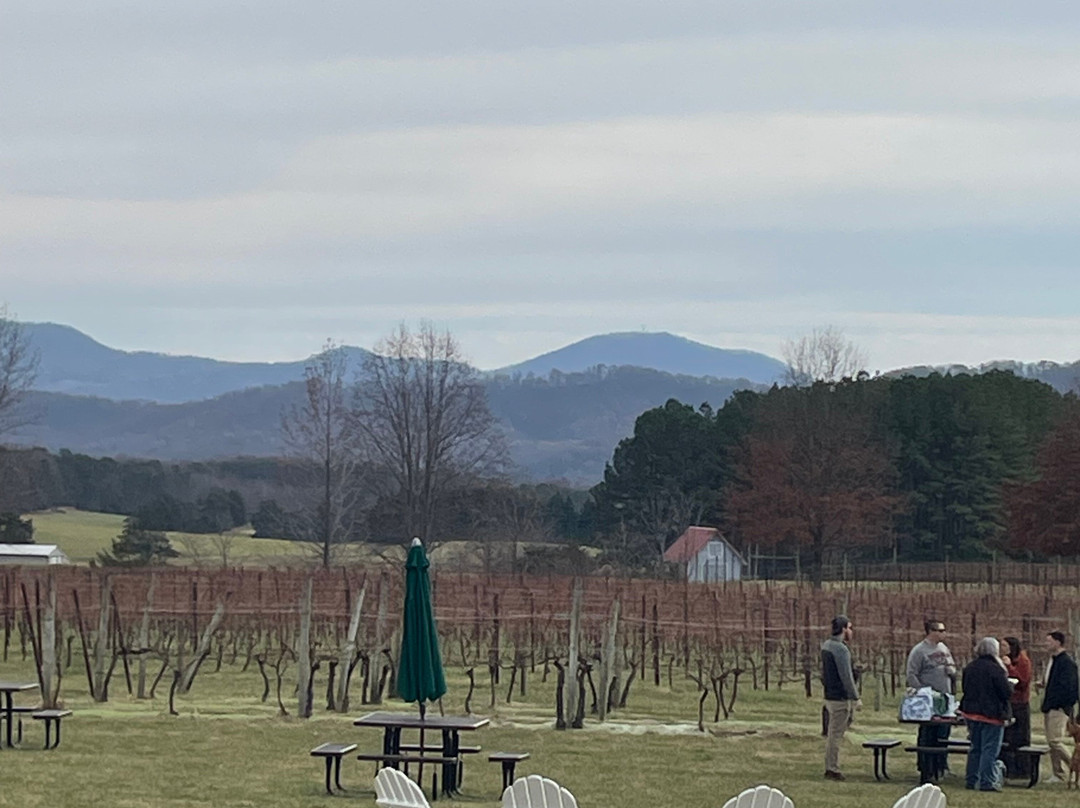 Wish Wish Wine Tours-夏洛茨维尔必去景点