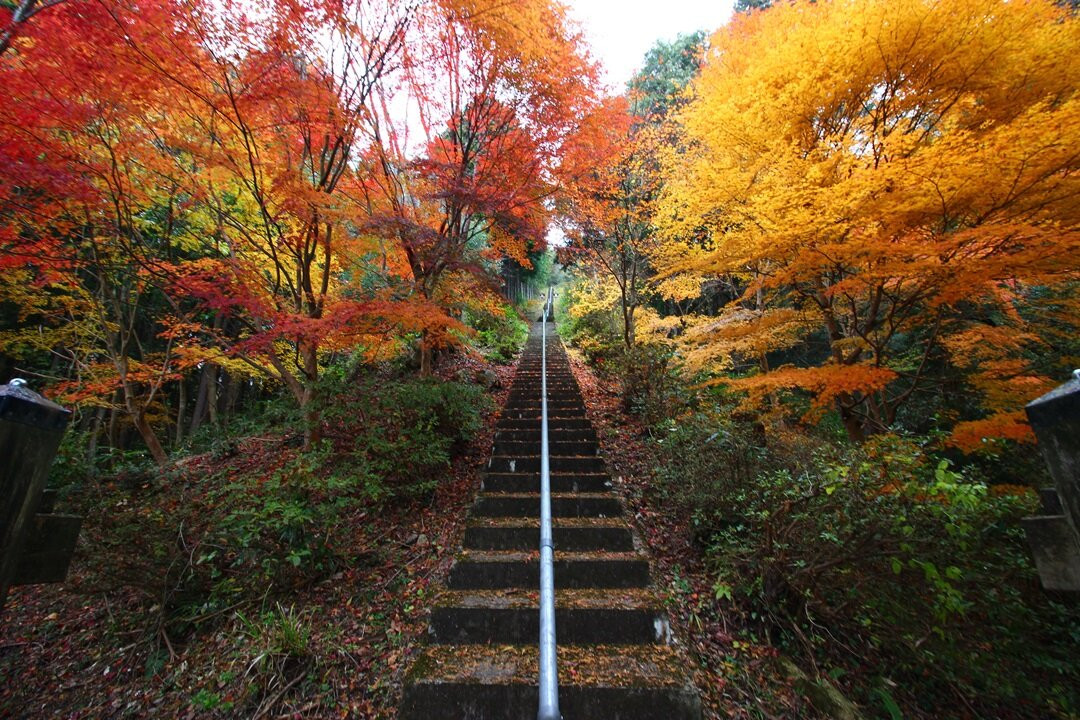 Tatsuiwa Shrine-邑南町必去景点