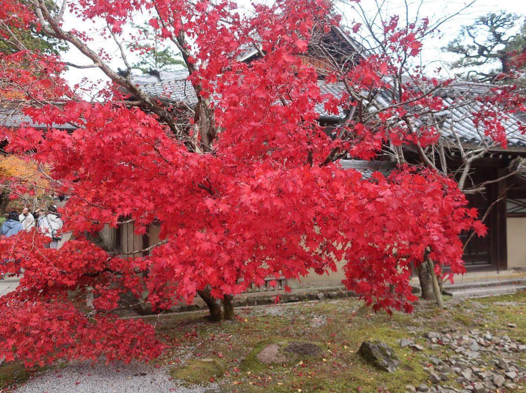 Eigenji Temple景点图片