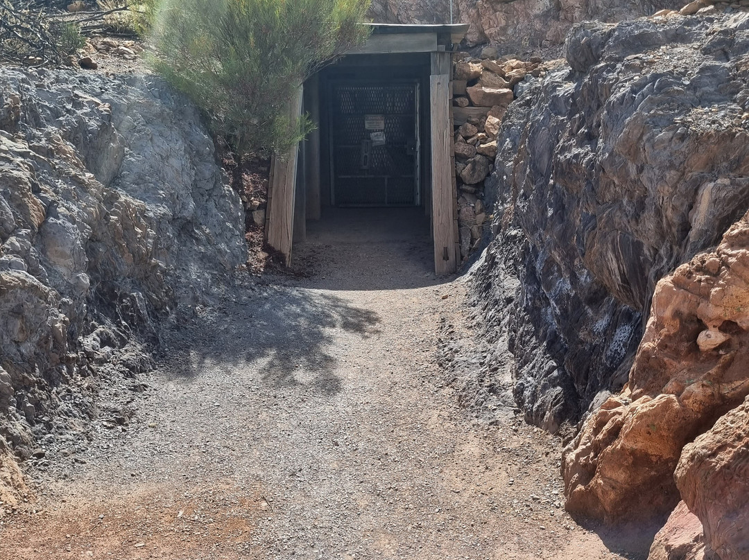 Heritage Blinman Mine景点图片