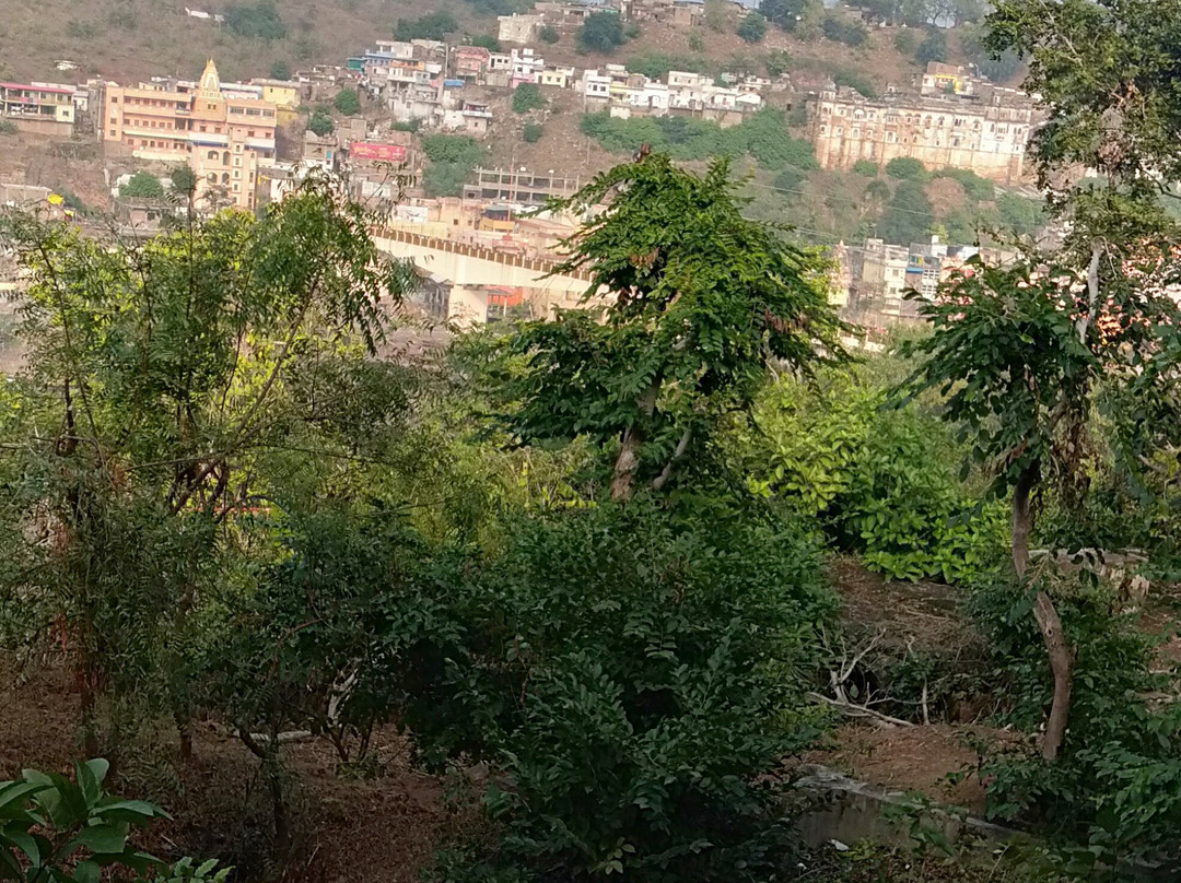 MPT Temple View, Omkareshwar主图