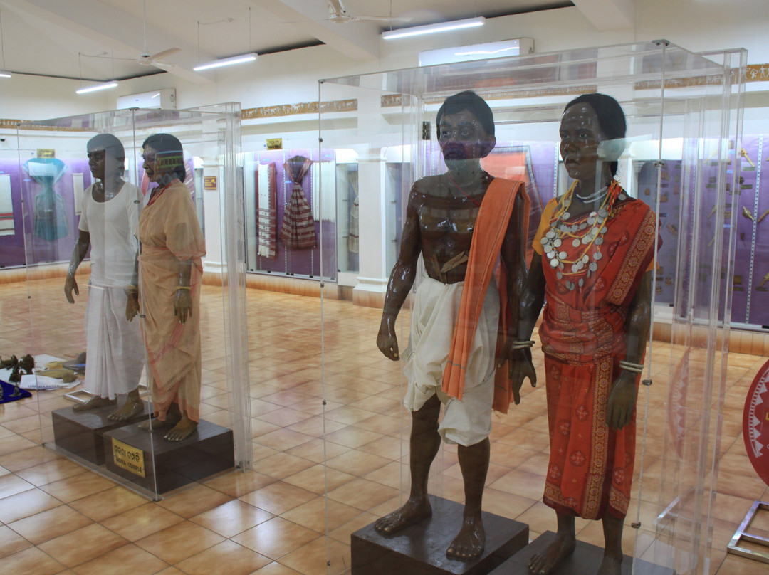 Museum of Tribal Arts & Artifacts-布巴内斯瓦尔必去景点