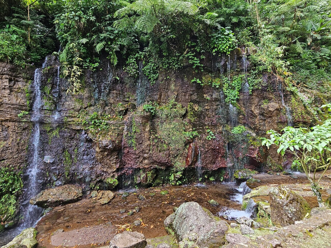 Parang Ijo Waterfalls景点图片
