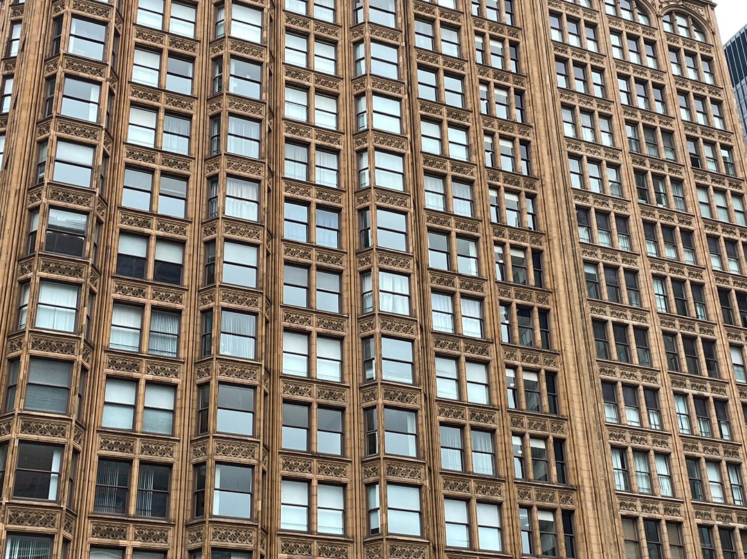 芝加哥建筑学会景点图片