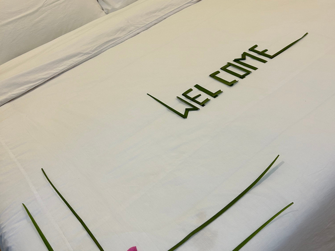 Turtle Maldives主图