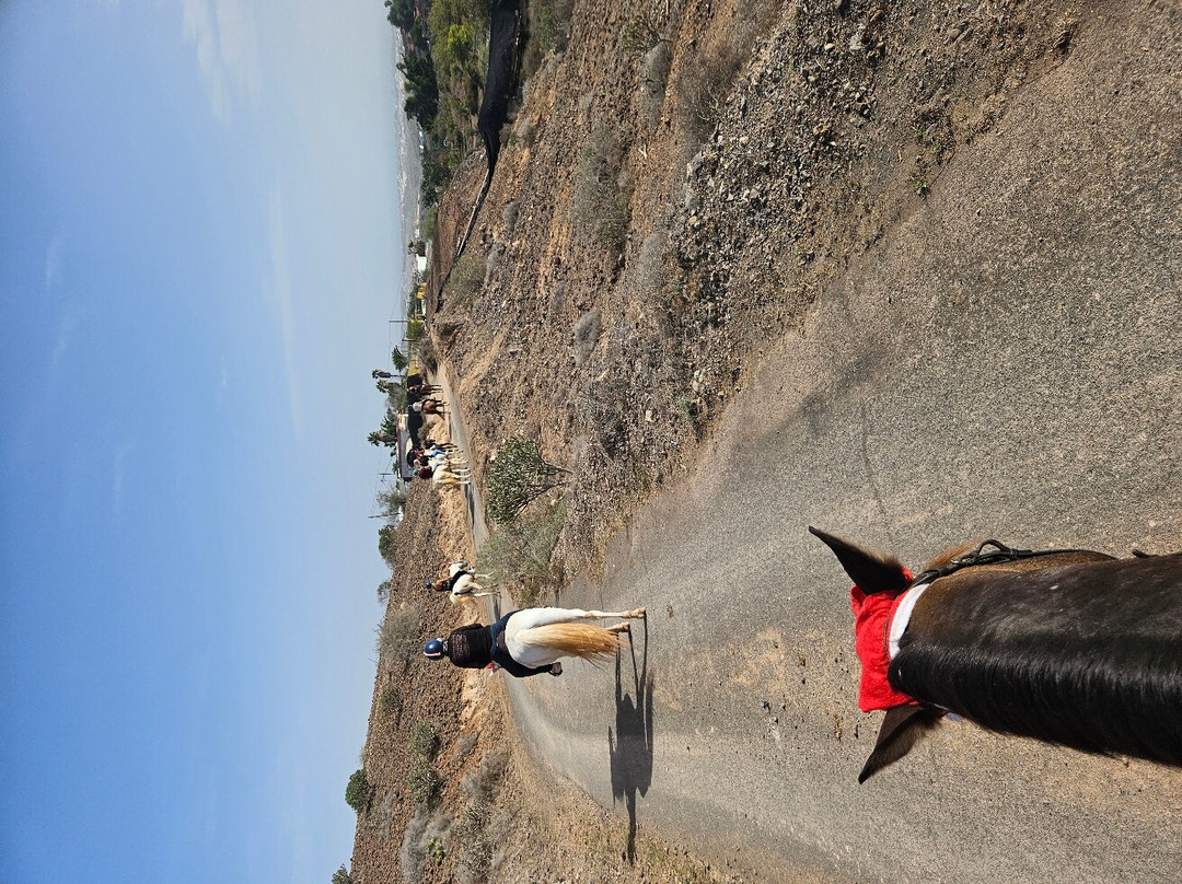 El Salobre Horse Riding-马斯帕洛马斯必去景点