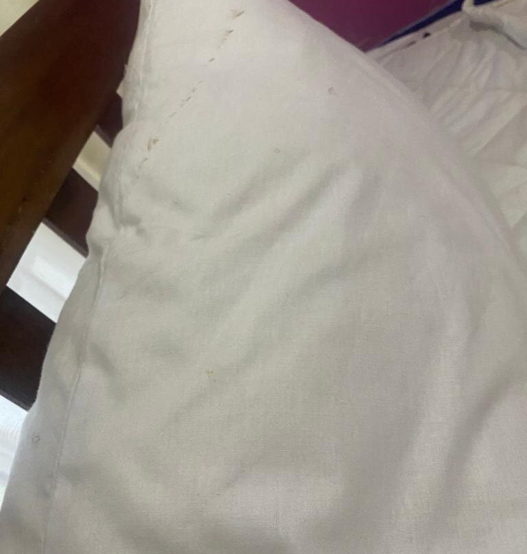 Tembea Coasto Safaris-Kilifi必去景点