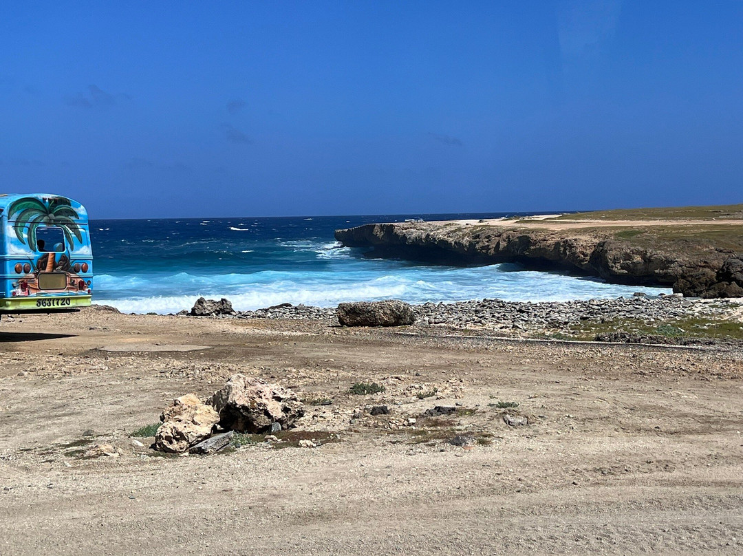 Aruba Fantasy Tours-奥腊涅斯塔德必去景点