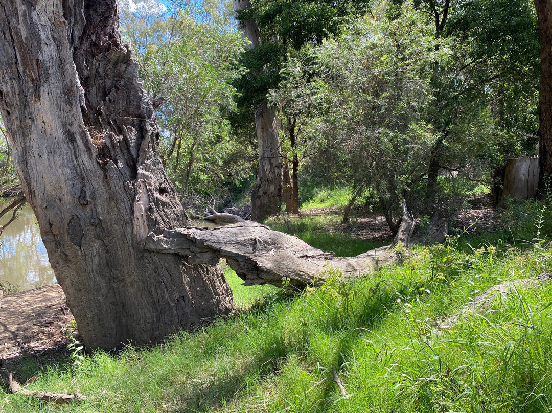 Frank Garth Reserve-Wangaratta必去景点