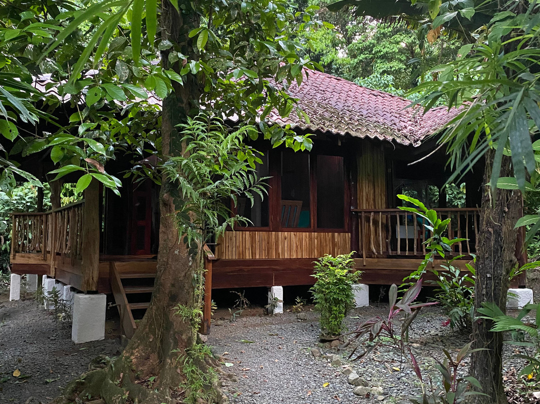 普拉亚尼库伊萨雨林旅馆主图