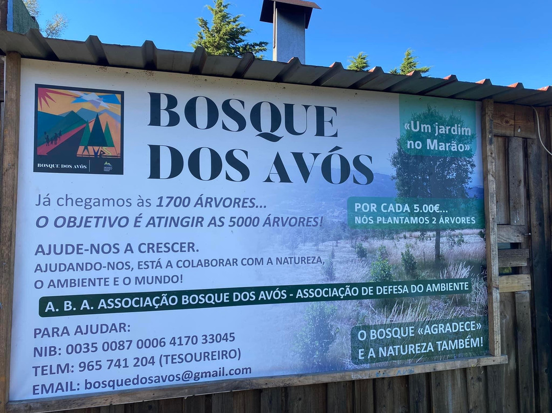 Bosque dos Avós景点图片
