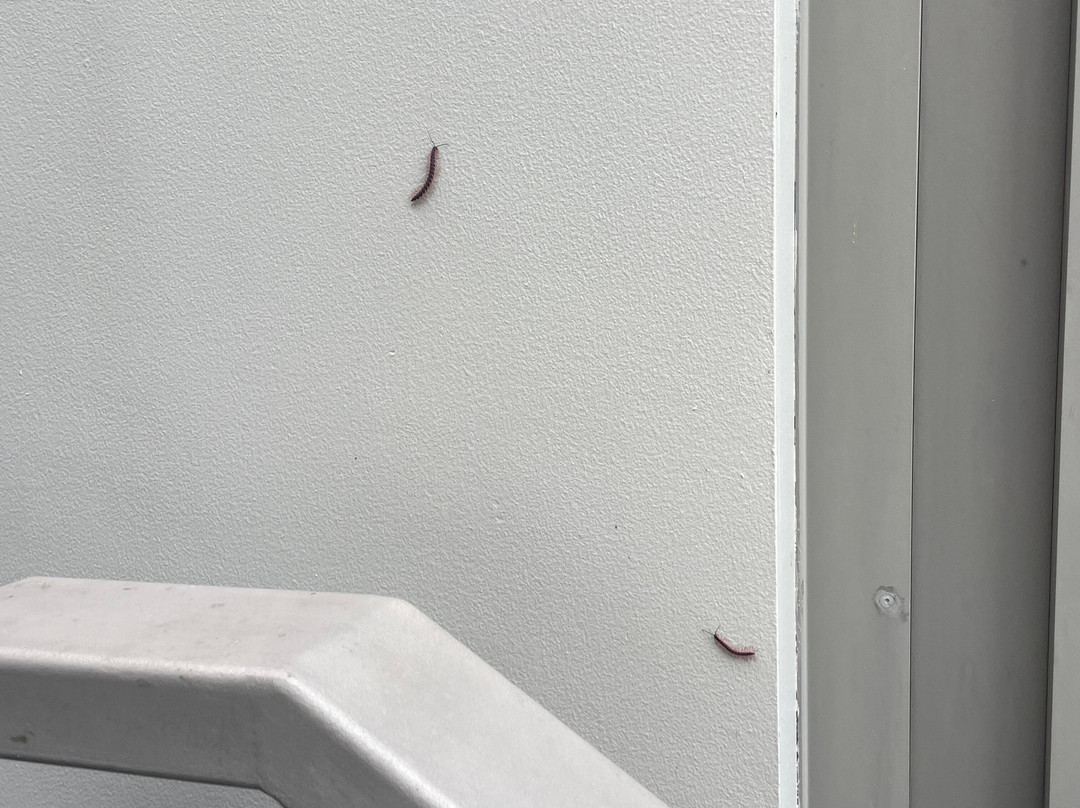 曼特拉苏梅度假村主图