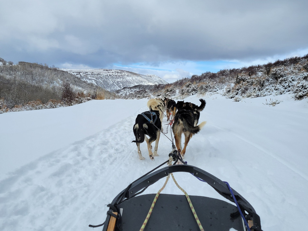 Bear Ridge Adventures