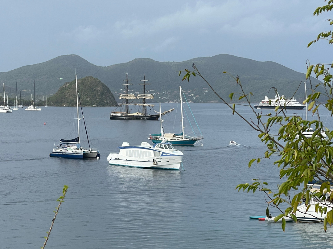 Caraibe Evasion-Pointe-Noire必去景点