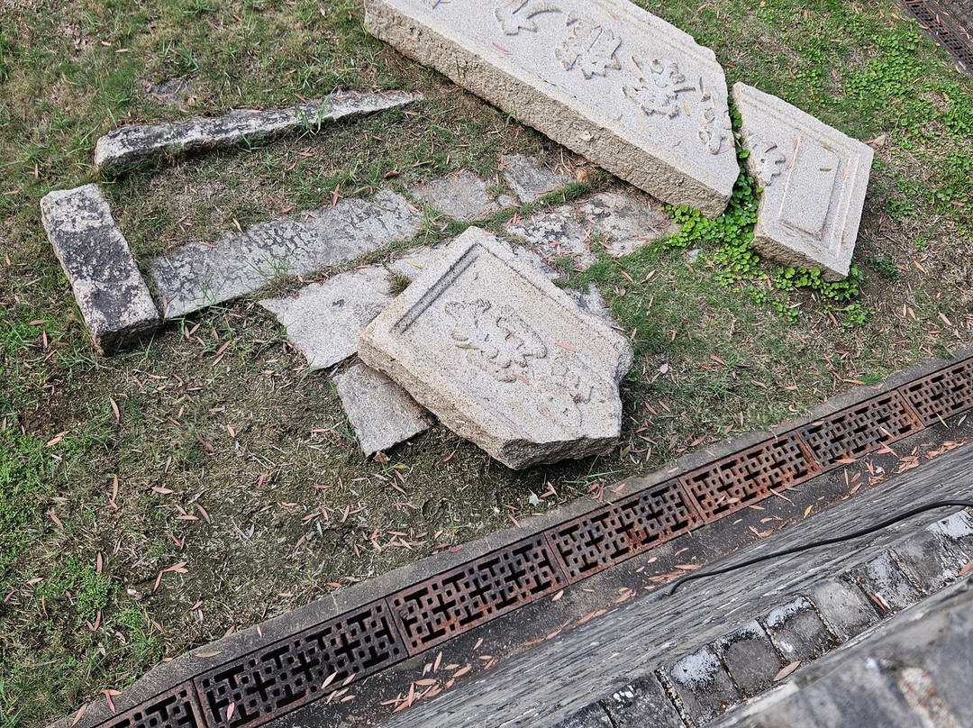 活现香港的香港一日游-香港必去景点